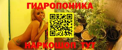 каннабис Гатчина