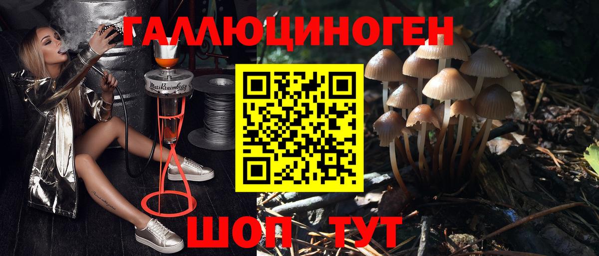 Псилоцибиновые грибы MAGIC MUSHROOMS  Вход с VPN  Минусинск  Псилоцибиновые грибы Cubensis 