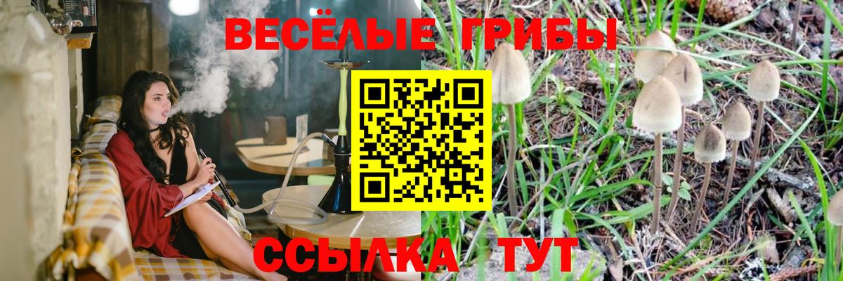 Псилоцибиновые грибы мухоморы Минусинск
